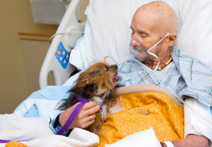 Veterano saluta in ospedale il suo cane prima di morire